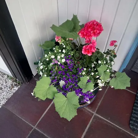 Vakantiehuis Wenneglueck *