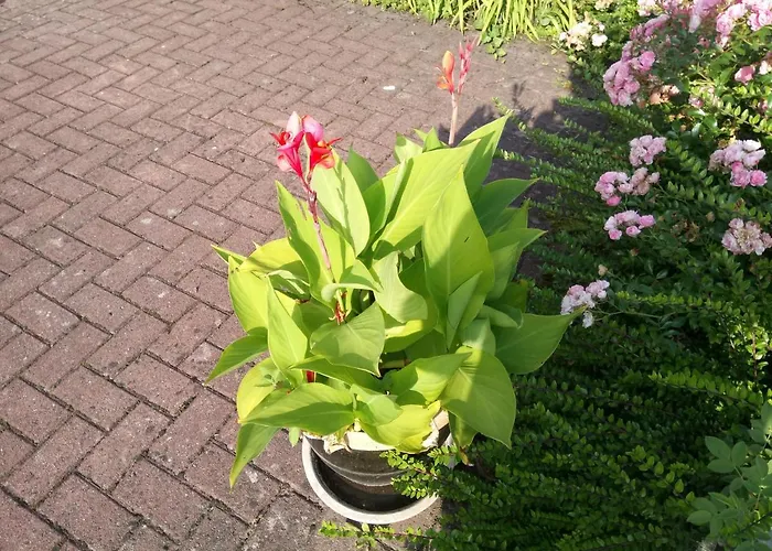 Wenneglueck Дом отдыха Мешеде